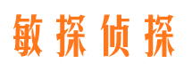 尼玛市侦探公司